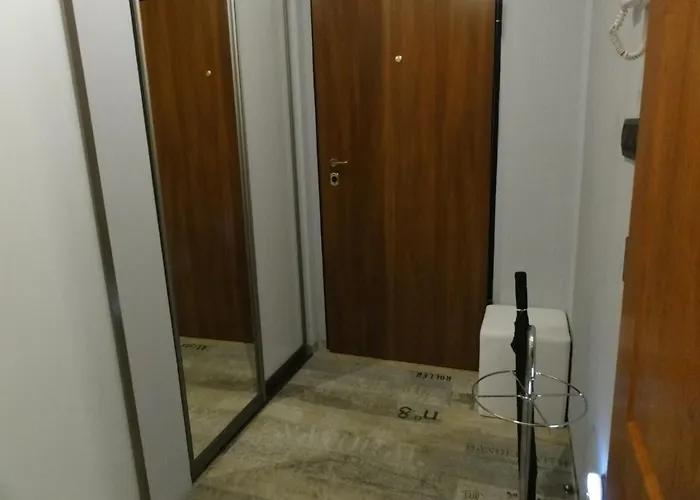 Center 2 * ソフィア